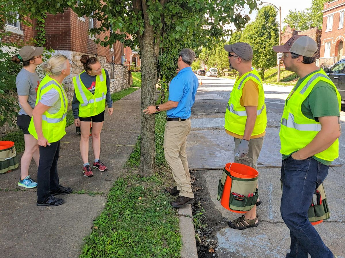 Monthly Neighborhood Foresters Public Meeting