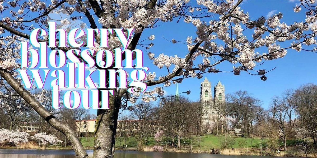 Cherry Blossom Walking Tour in Branch Brook Park