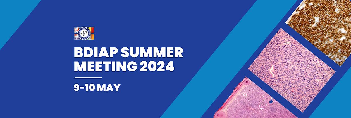 BDIAP Summer Meeting 2024