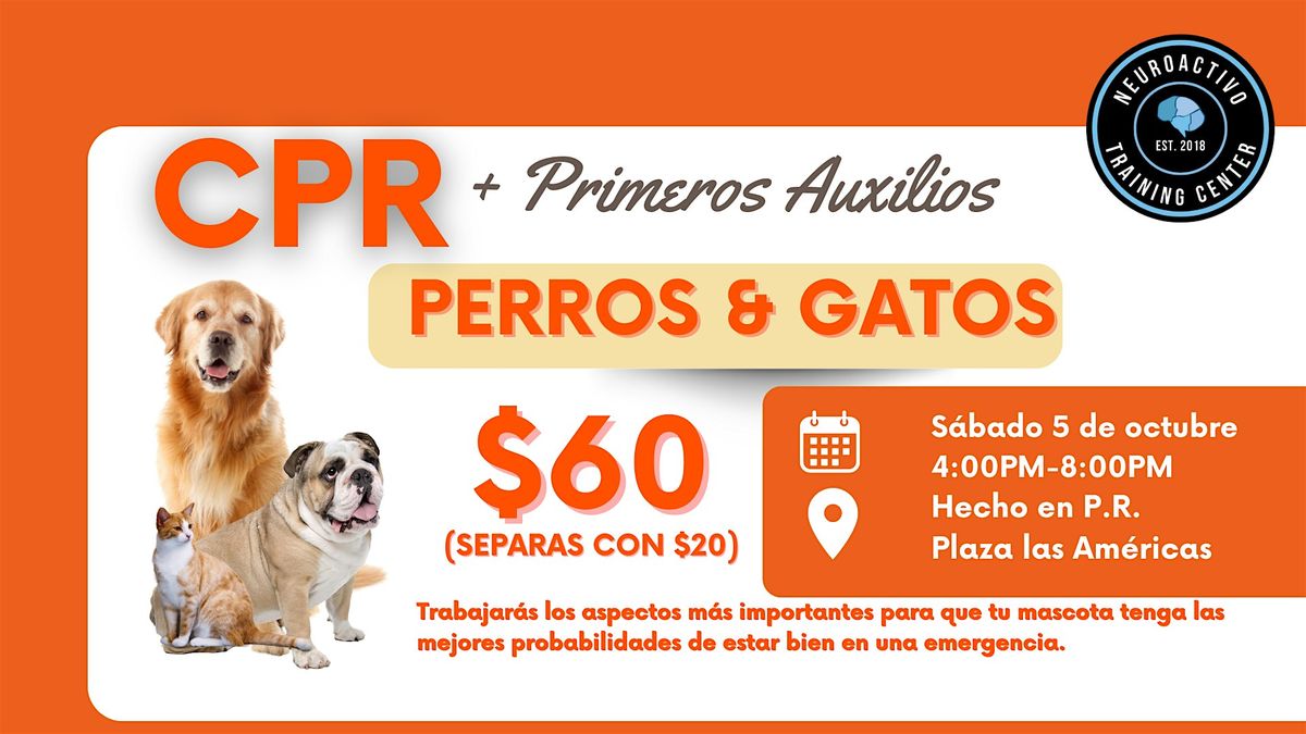 Curso de CPR y Primeros Auxilios para Perros y Gatos San Juan