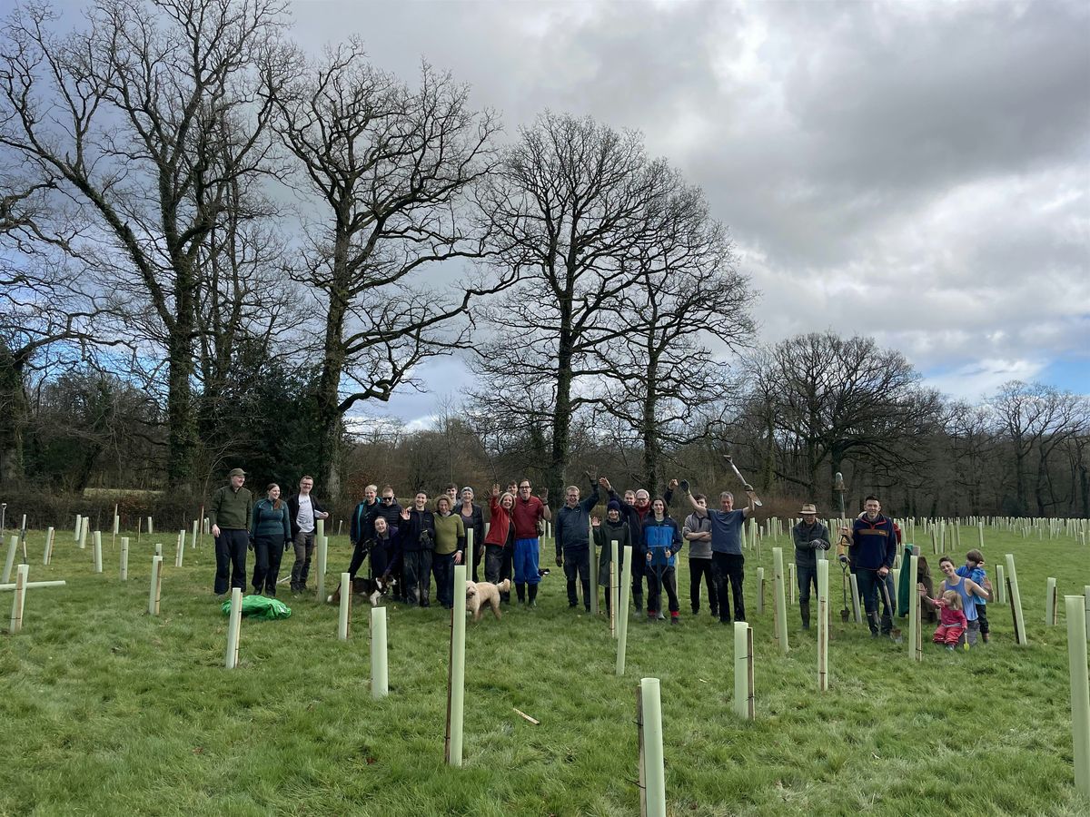 Keen volunteers needed to help plant a community woodland near Wellington