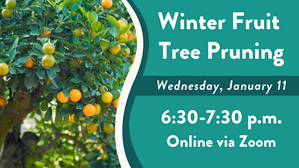 Winter Fruit Tree Pruning