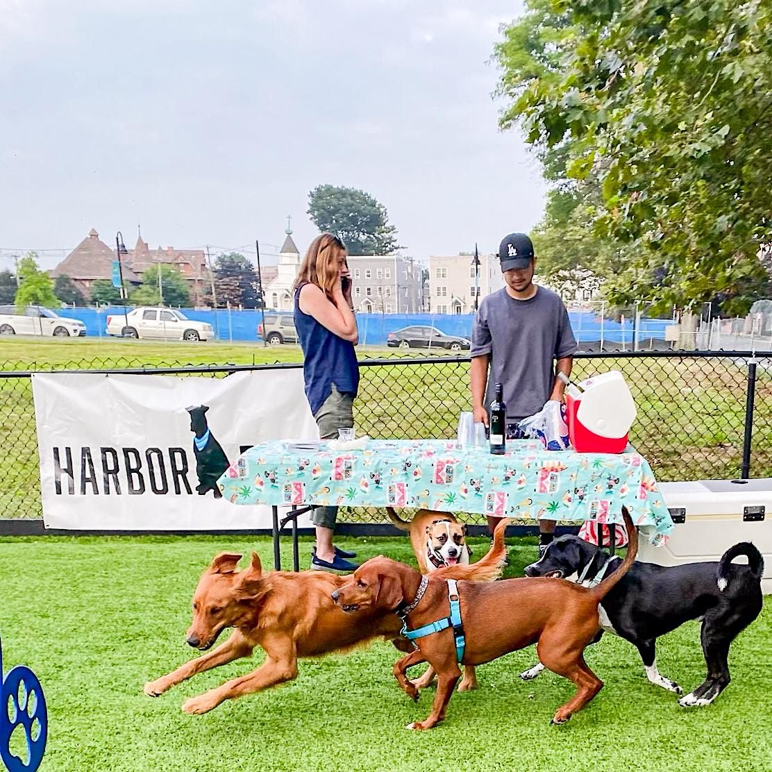 Yappy Hour in Harbor Point Dog Park