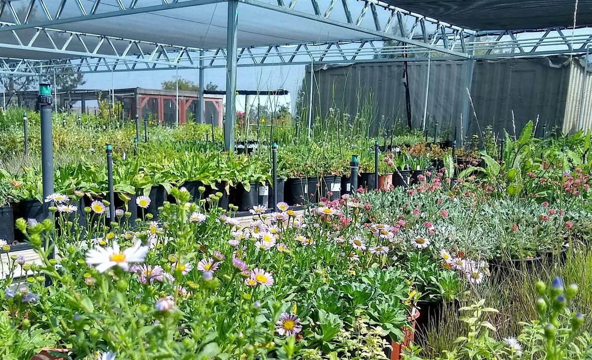 California Native Plants Sale and Open House