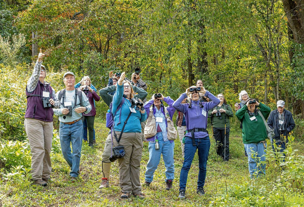 FLOC: First Friday Birding