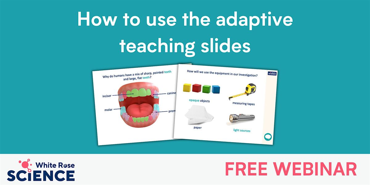 Science: How to use the adaptive teaching slides