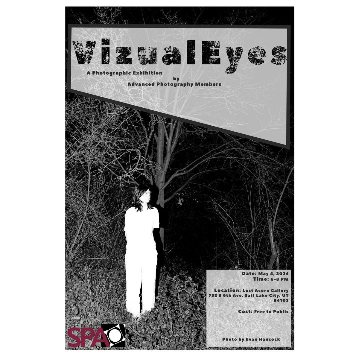 VizualEyes Advanced Photography Show