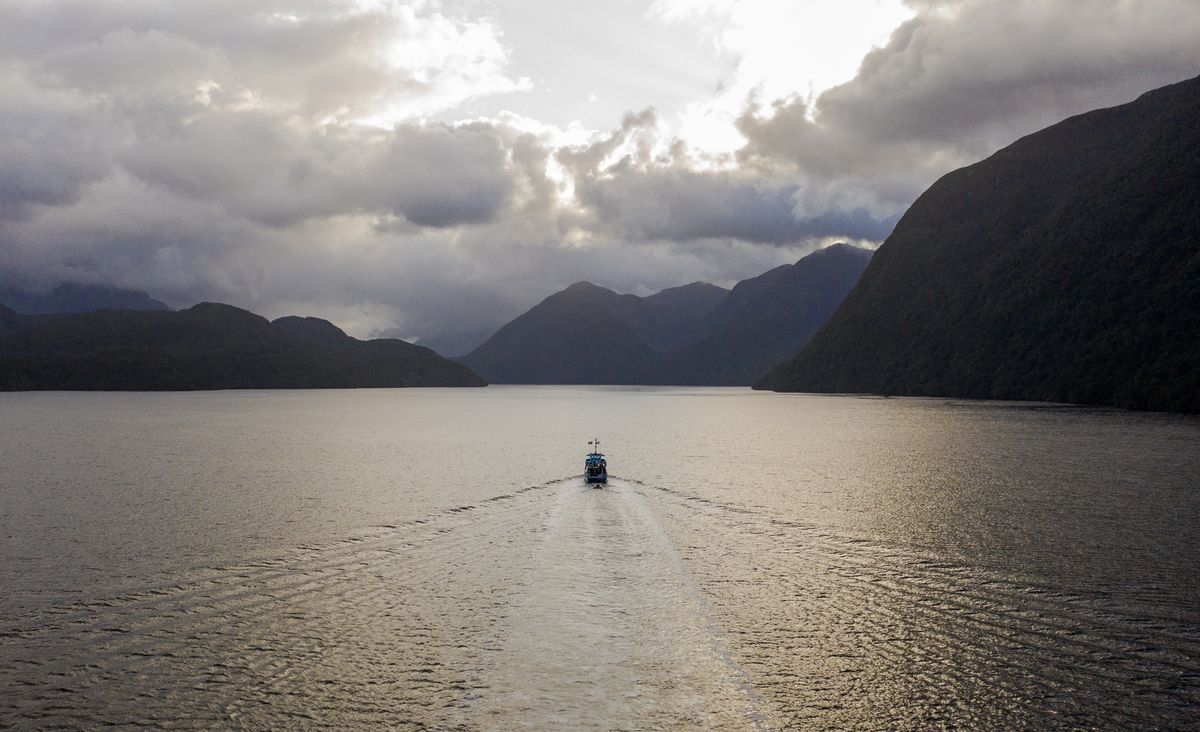 Fiordland Wilderness Adventure - February 2025