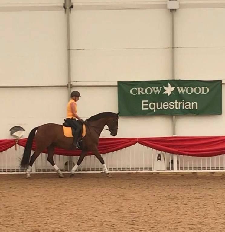 Dressage training at Crow Wood Equestrian