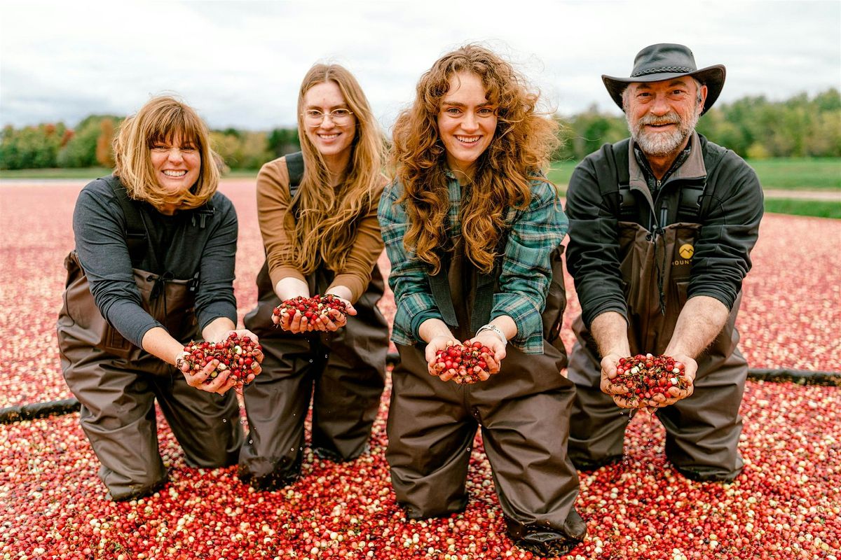 Stand in Floating Cranberries: Harvest Experience October 19