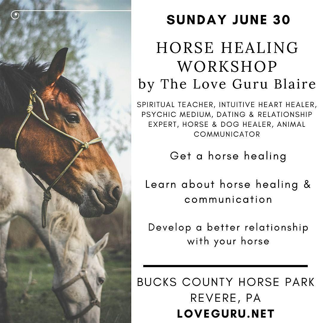 Horse Healing Workshop with The Love Guru Blaire