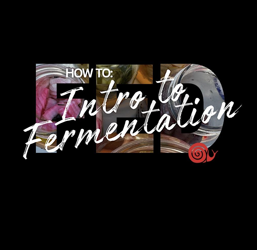 FED Workshop - How to: Intro to Fermentation