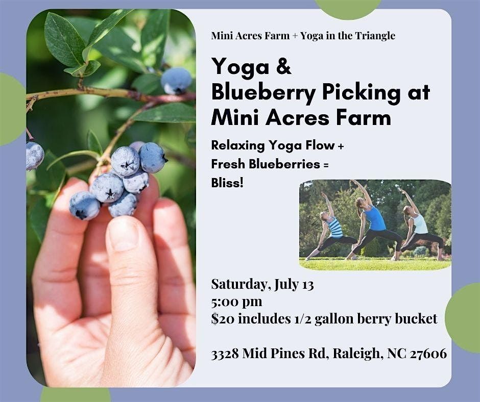 Yoga + Blueberry Picking at Mini Acres Farm