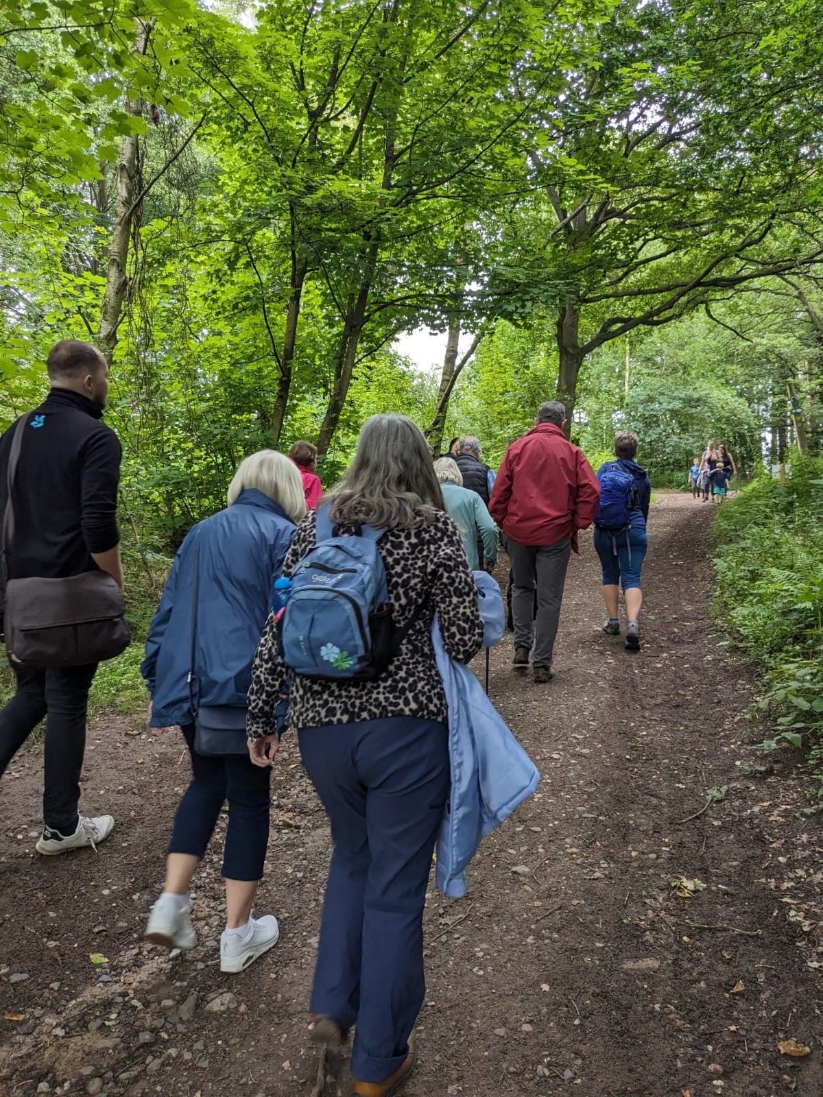 Wellbeing Walks in Comer Woods