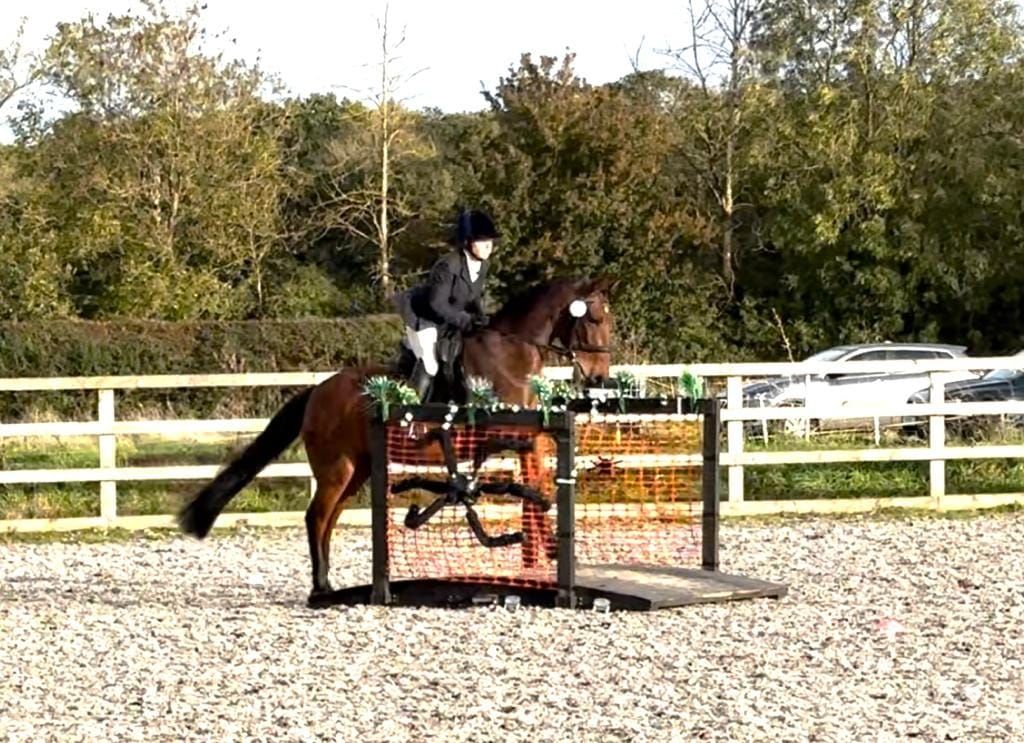 Working Equitation Training Competition