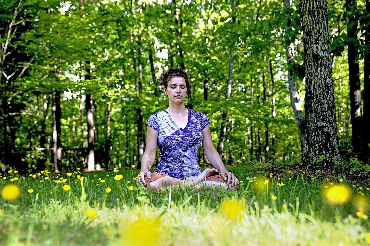 EcoWalk: Meditation in the Parks - Red Bug Slough