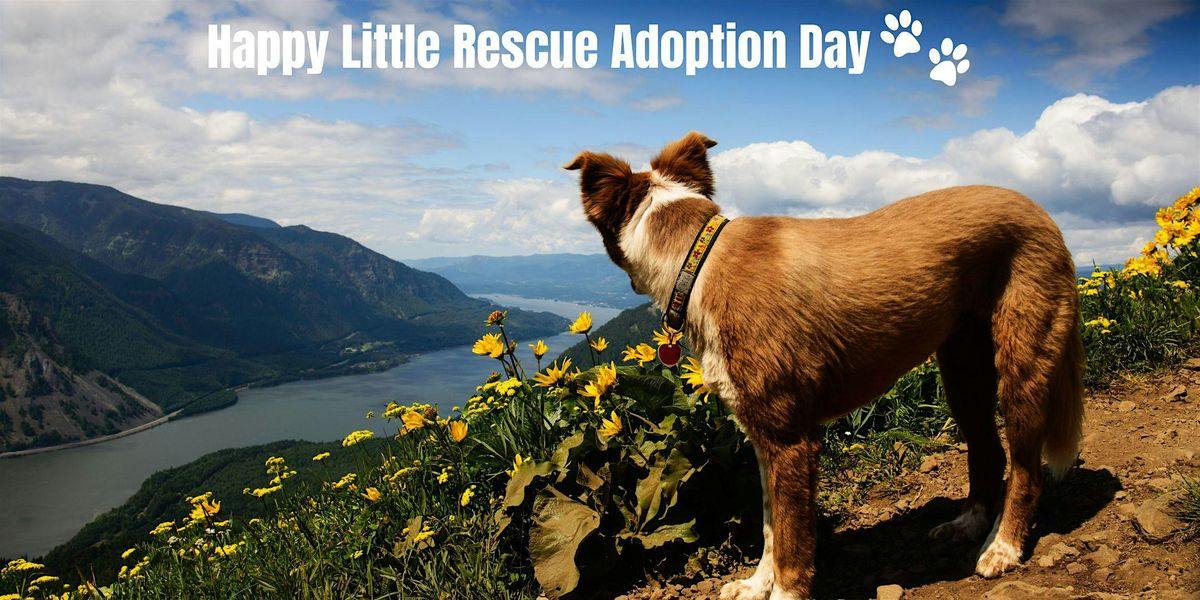 Happy Little Rescue Adoption Day