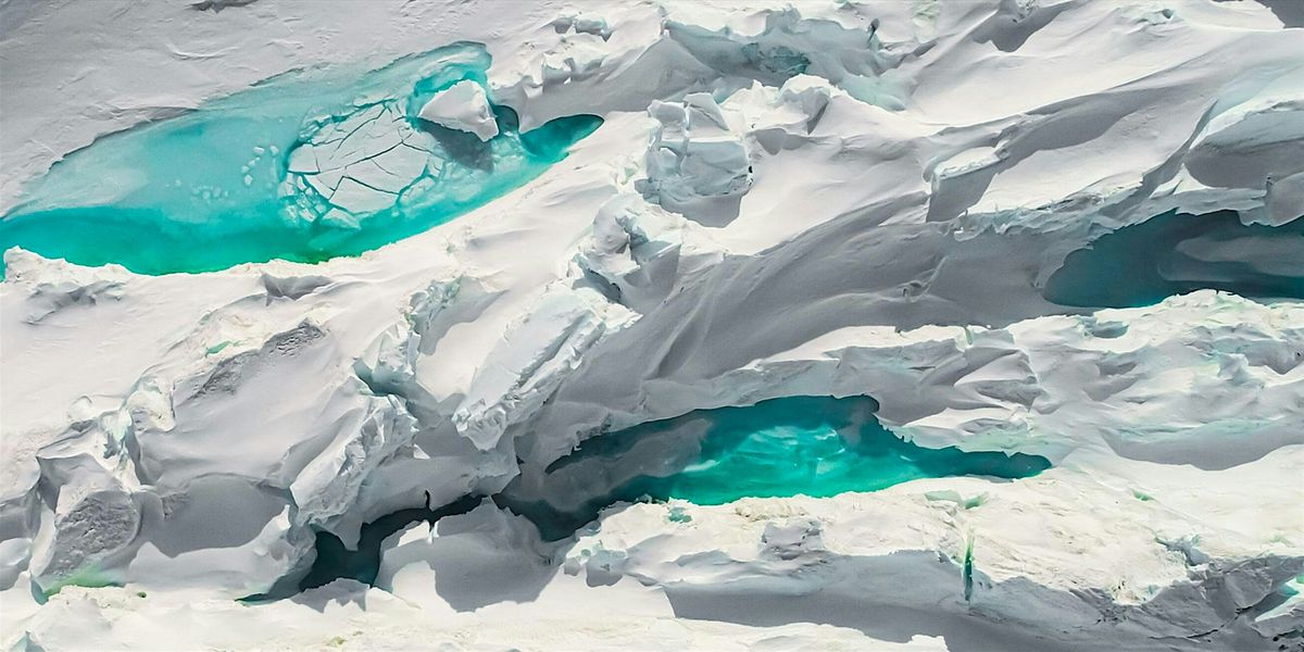 Stuart Robertson: Colours of Antarctica