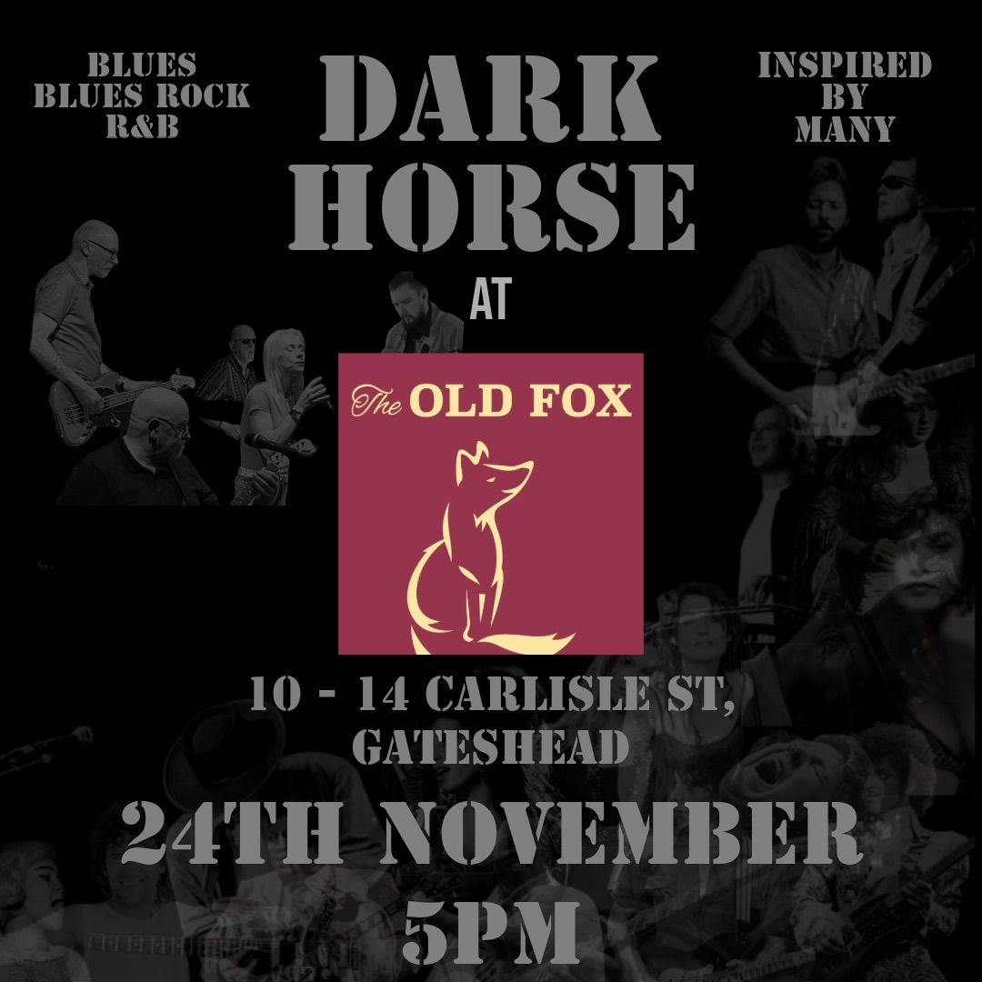 Dark Horse at The Old Fox, Felling