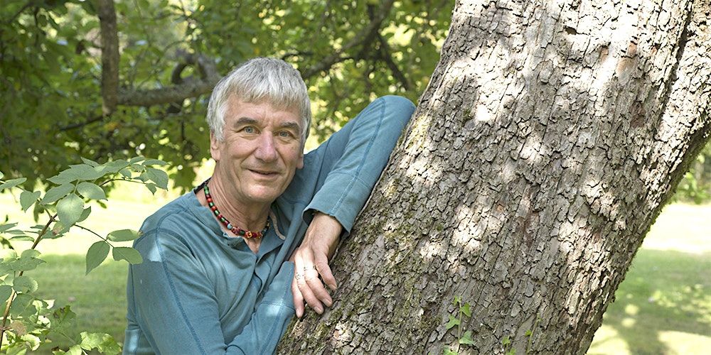 Unveiling Roots: Exploring Heritage Trees in Herefordshire & Welsh Borders