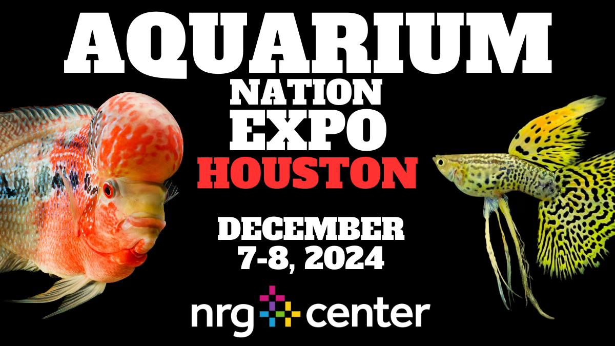 AQUARIUM NATION EXPO - HOUSTON