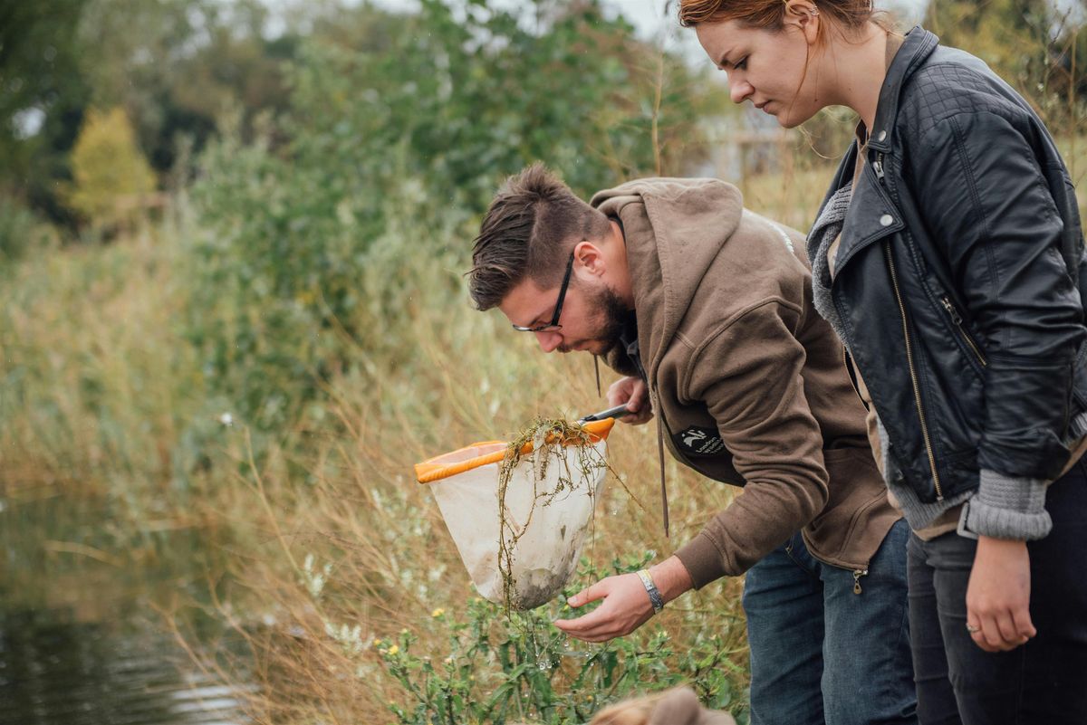 Practical Conservation in Crane Park Island (SW London)-FREE