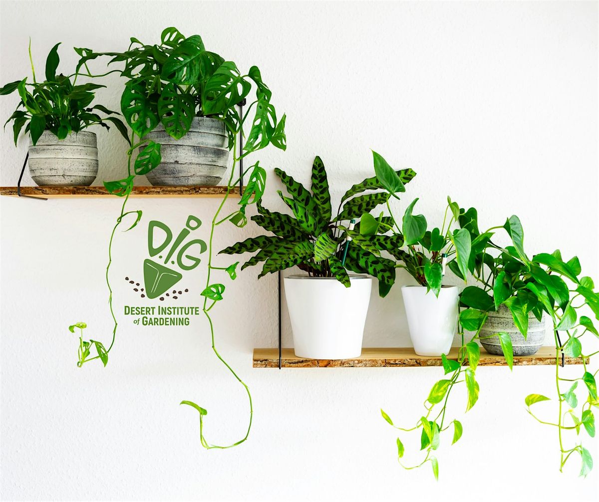 DIG IN-PERSON: Ready, Set, Grow!  Get the Dirt on House Plants