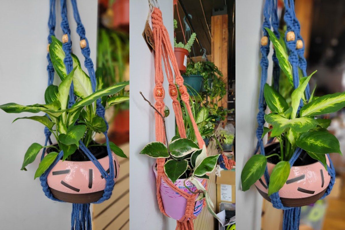 Macram\u00e9 Workshop: Plant Hanger