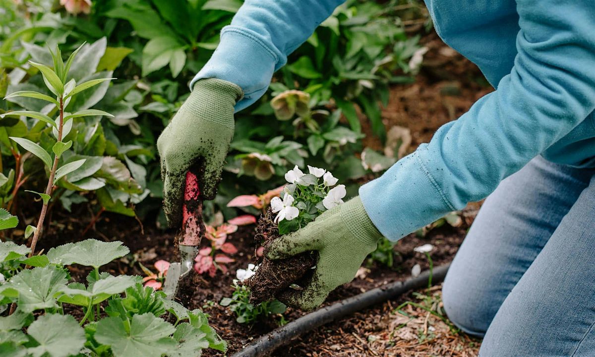 Gardening with Farmer Banks: Florida Fall Gardening (Orlando West Lakes Center)