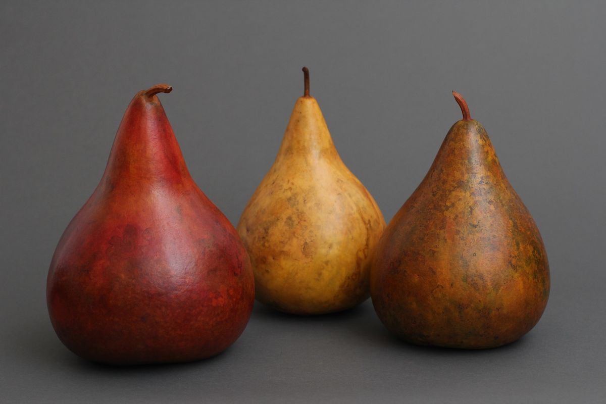 Pear Gourds - November 16