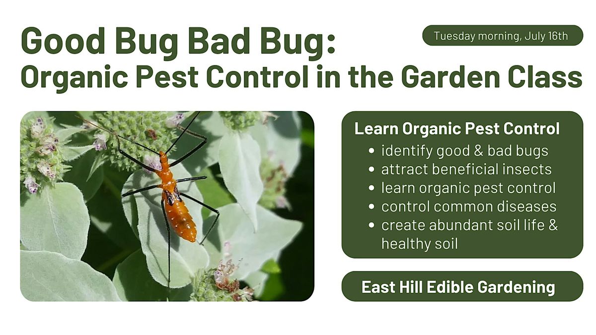 Good Bug Bad Bug: Organic Pest Control in the Garden, Tuesday morning