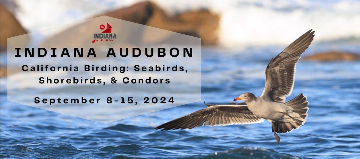 Indiana Audubon 2024 California Birding Tour