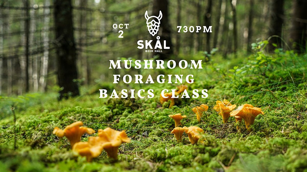 Mushroom Foraging Class - Learn the Basics!