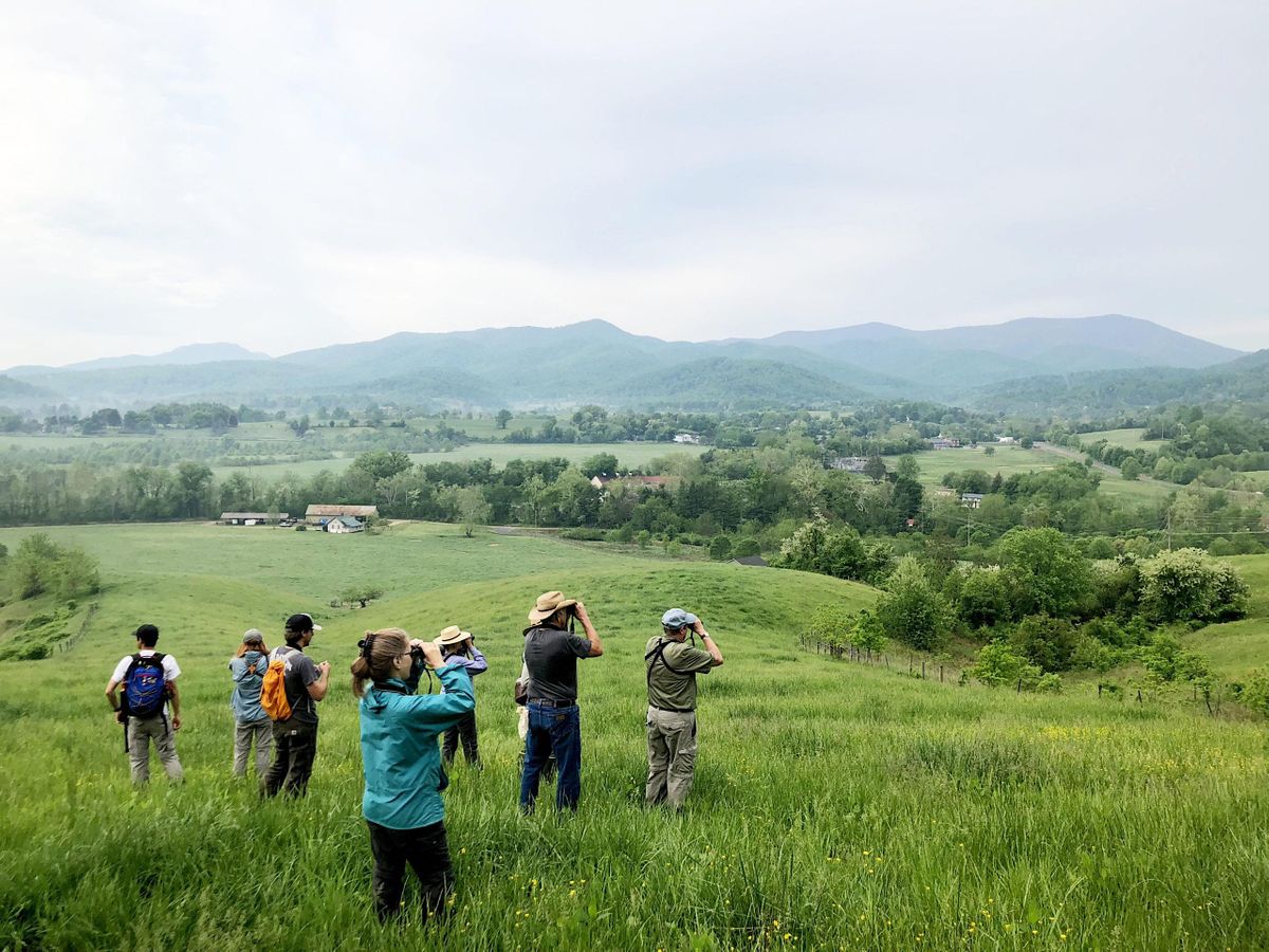 Sightlines: Stories of Conservation Farming with Dr. Amy Johnson