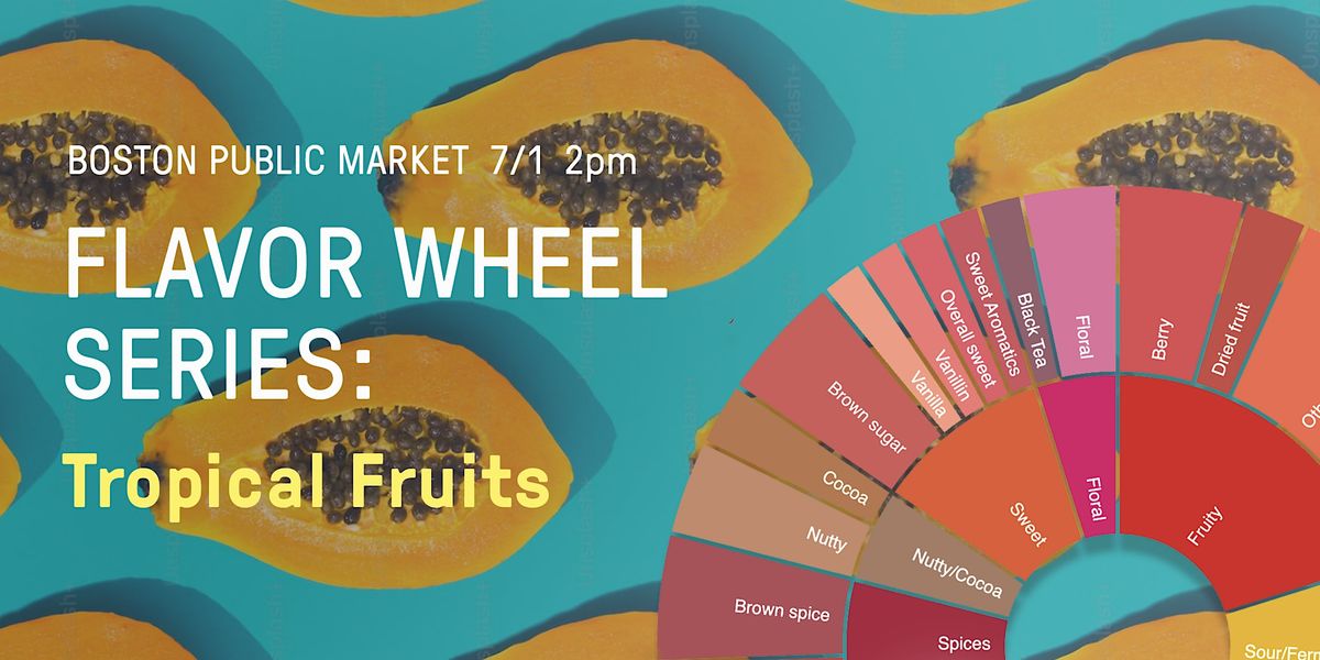 Flavor Wheel Series: Tropical Fruits