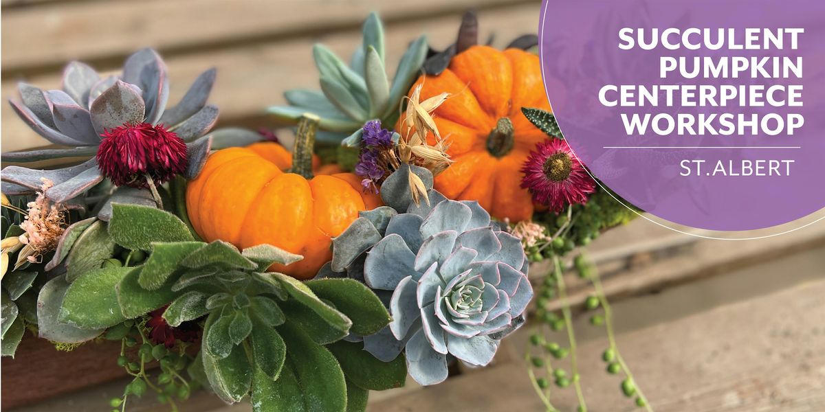 DIY Succulent Pumpkin Centrepiece | Workshop | Enjoy Centre | St. Albert