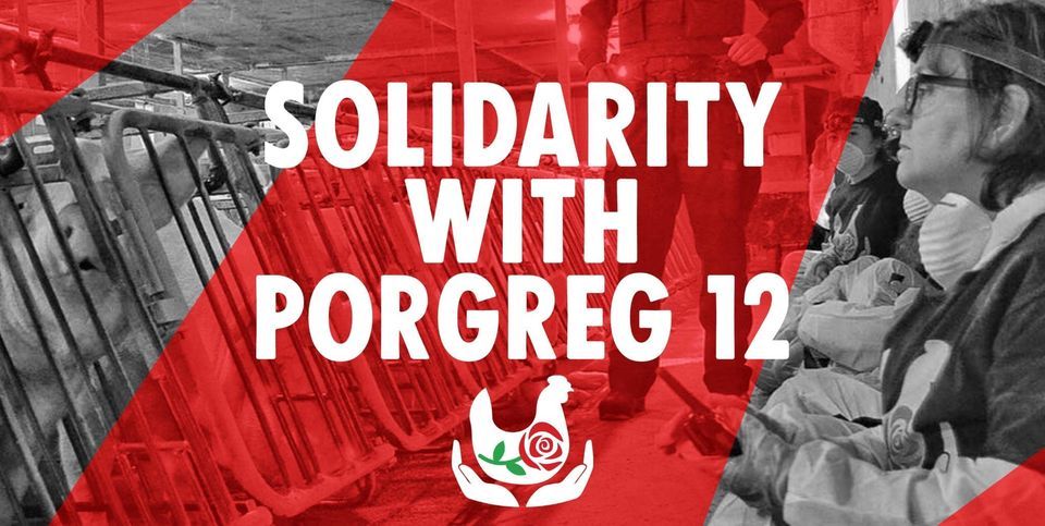 Solidarity with Porgreg12