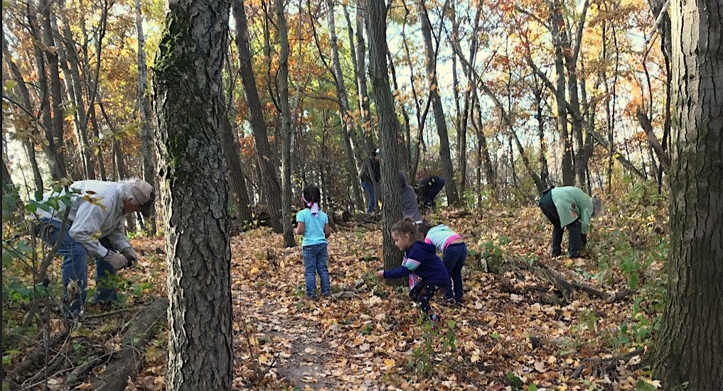 Monthly Buckthorn Removal