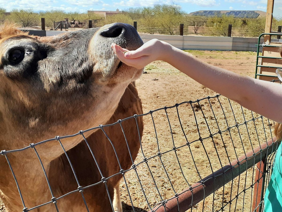 Socorro Animal Sanctuary Trail-O-Treats Fundraising Event