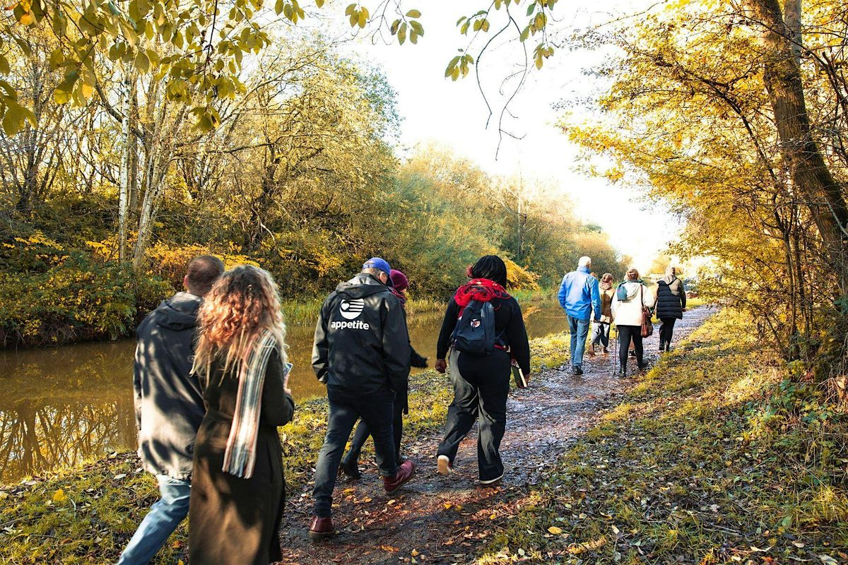 Kidsgrove Canal Nature Recovery Walks - Summer