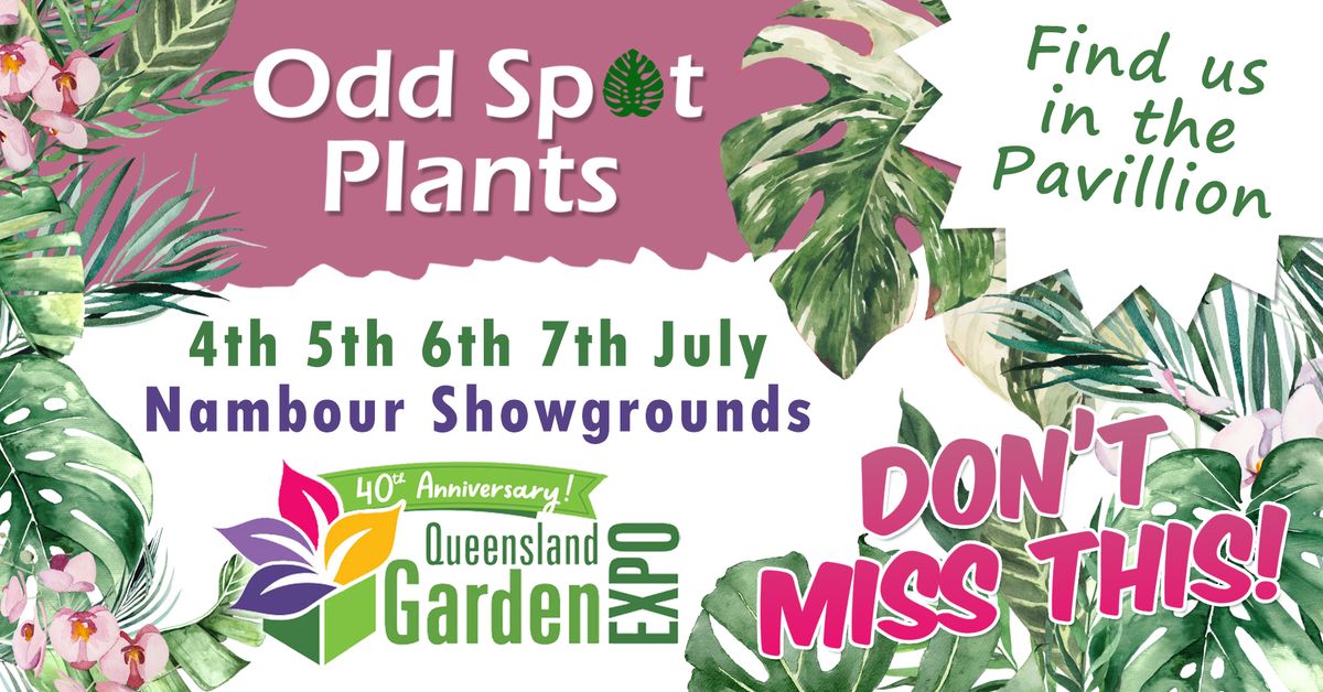 Odd Spot Plants - QLD Garden Expo 2024