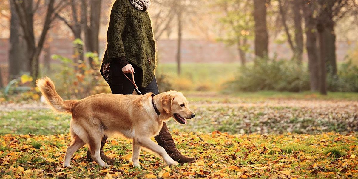 WVLT 1st Wednesdays Dog Walk