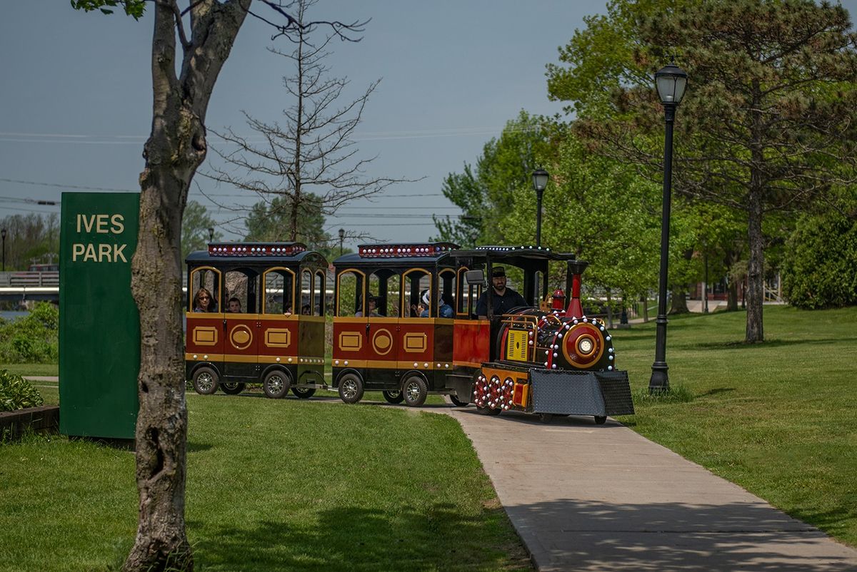 Train Rides in Ives Park