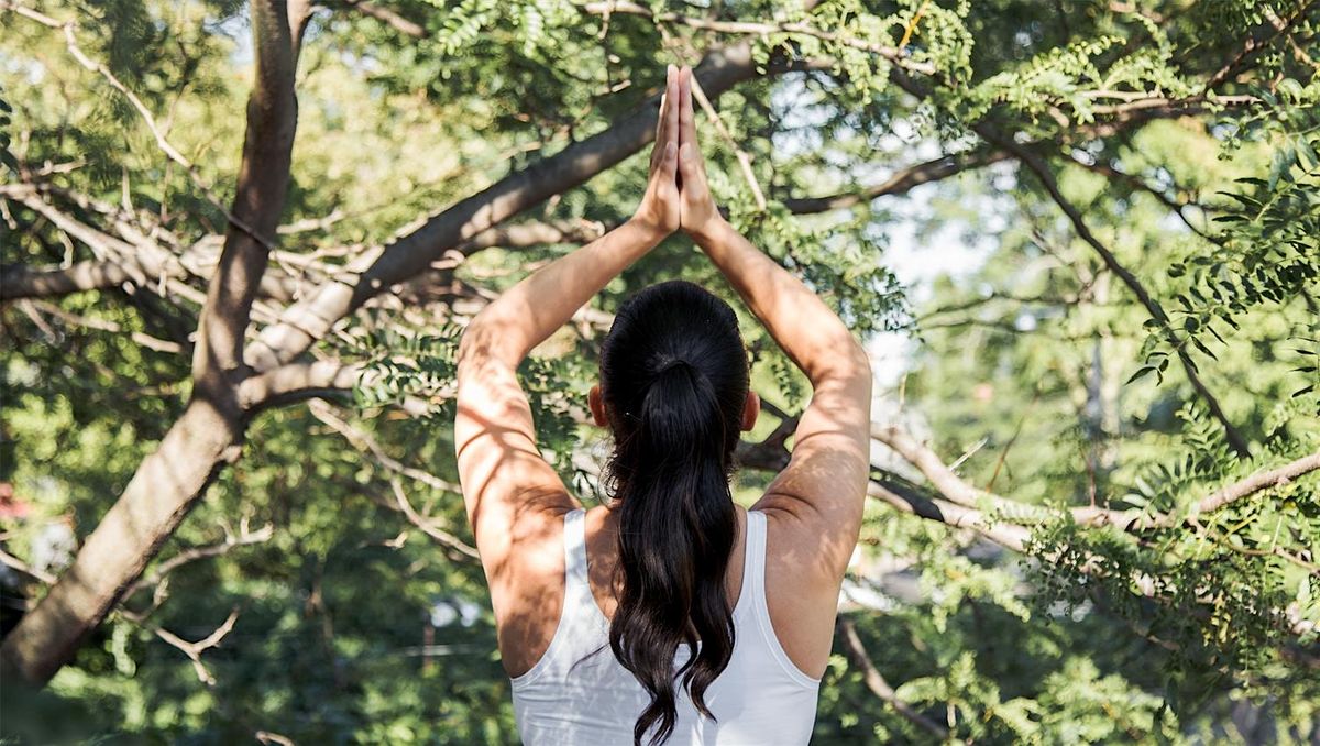 Harmony: A Day Retreat For Deep Connection & Mindful Integration