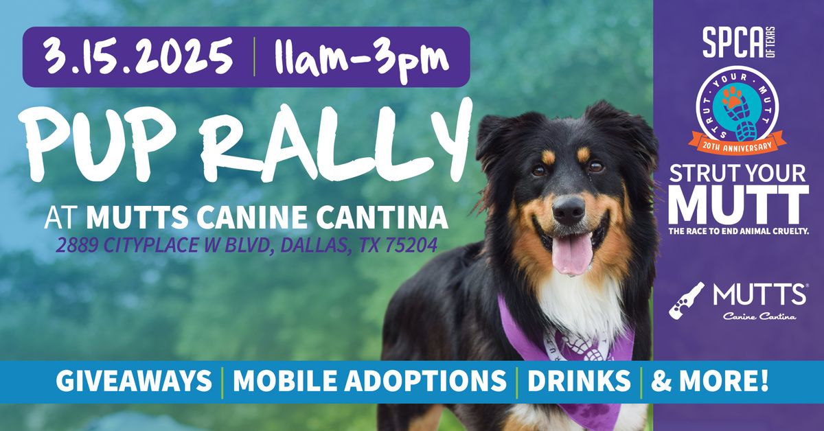 Pup Rally at Mutts Canine Cantina