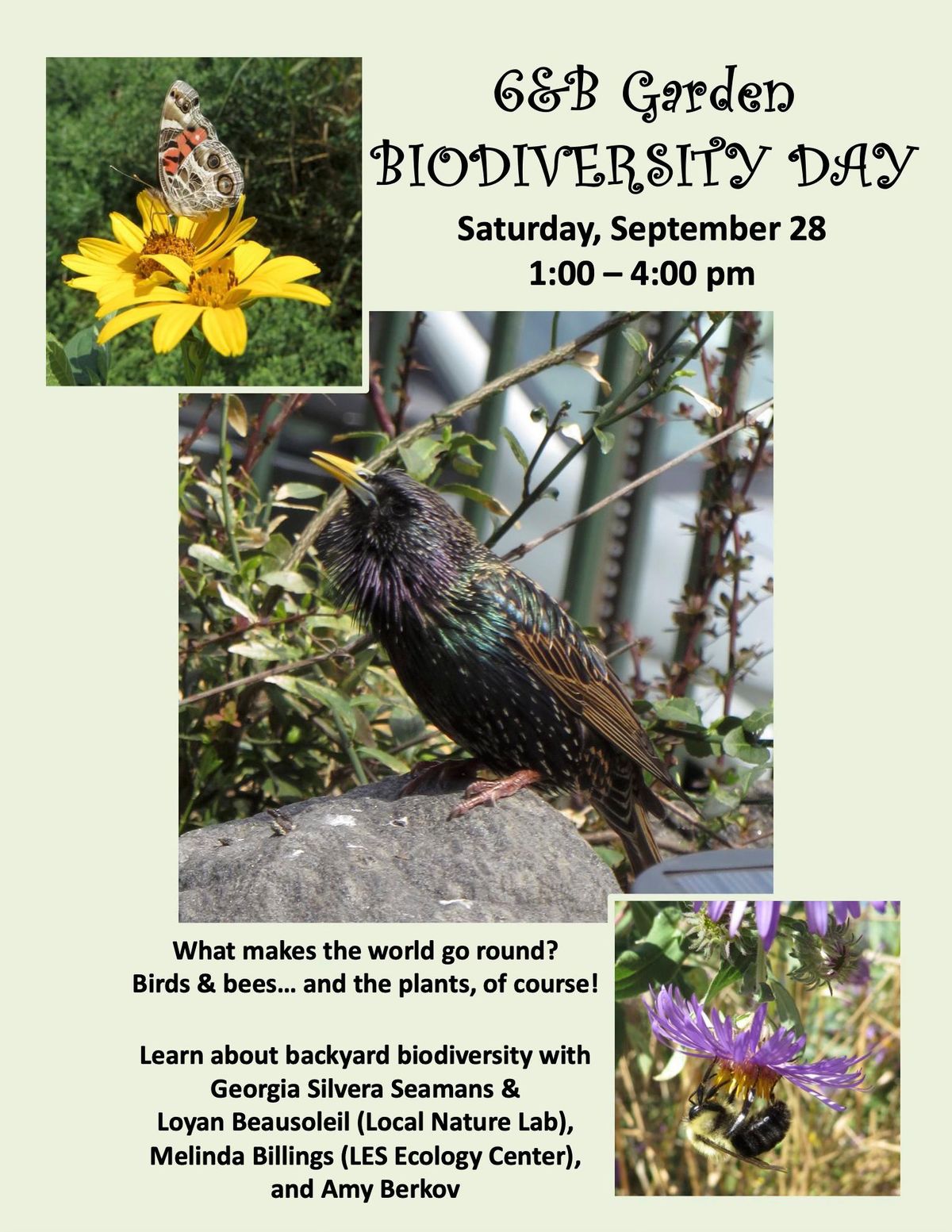 Biodiversity Day in the Garden!