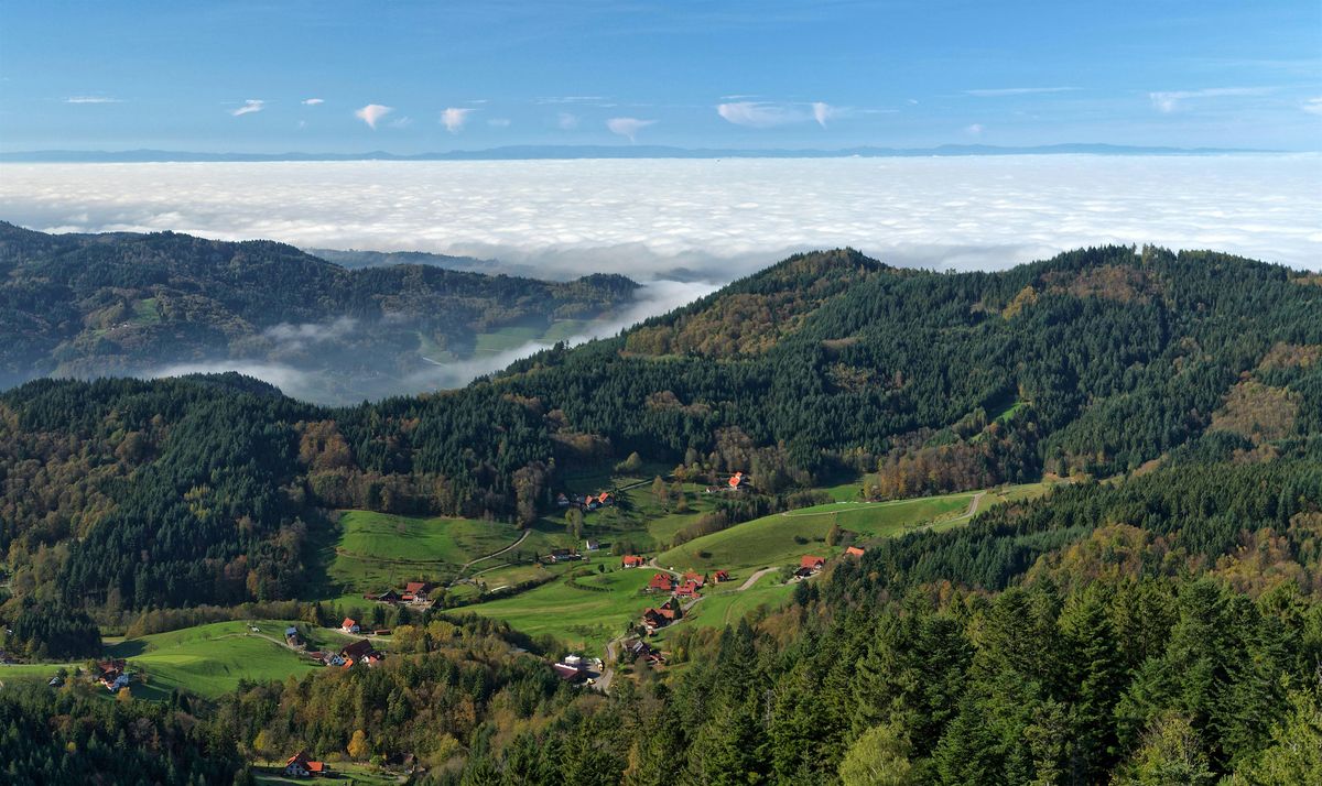 Magical Summer of Hiking in Black Forest