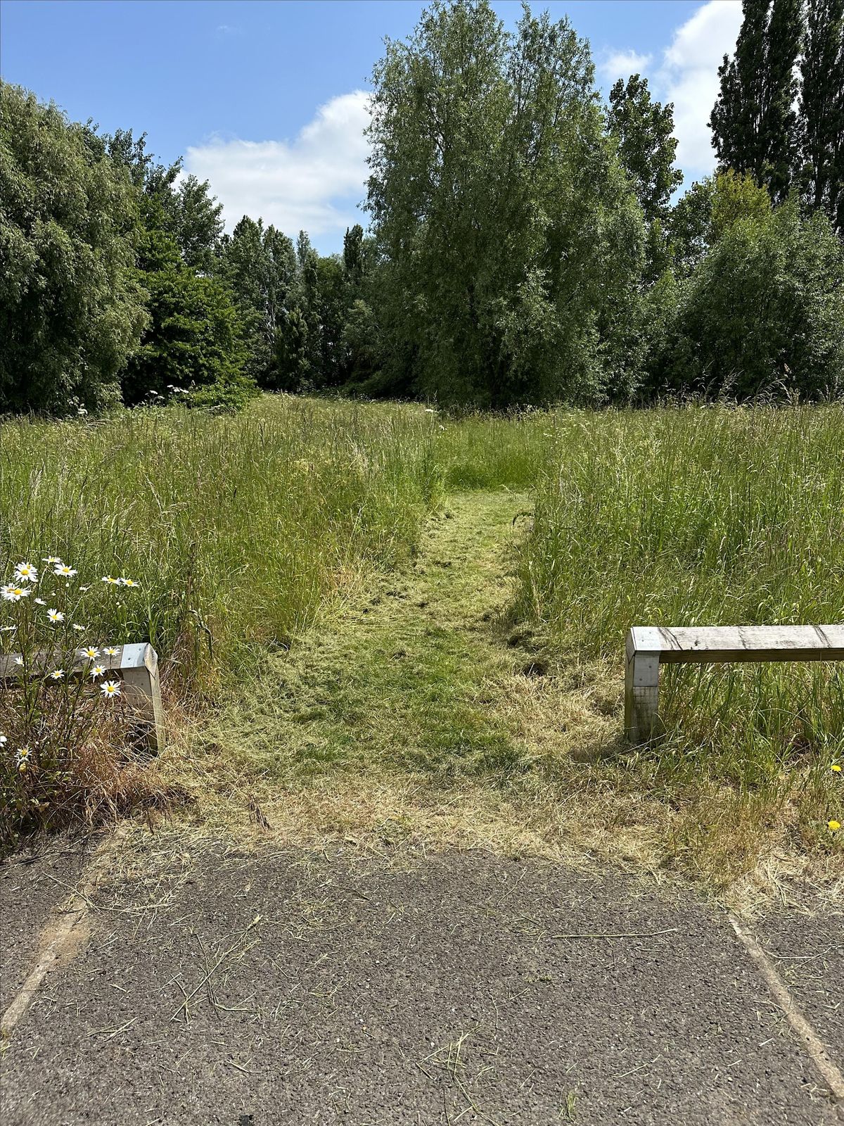 Riverside Meadows Walking Tour with Priory Country Park Warden, Riverside Pond, Bedford, 29 July