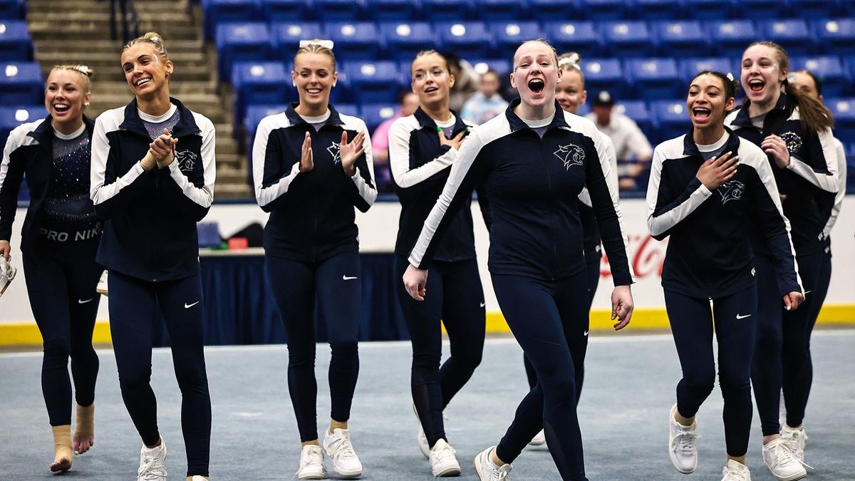 LIU Sharks at New Hampshire Wildcats Womens Hockey
