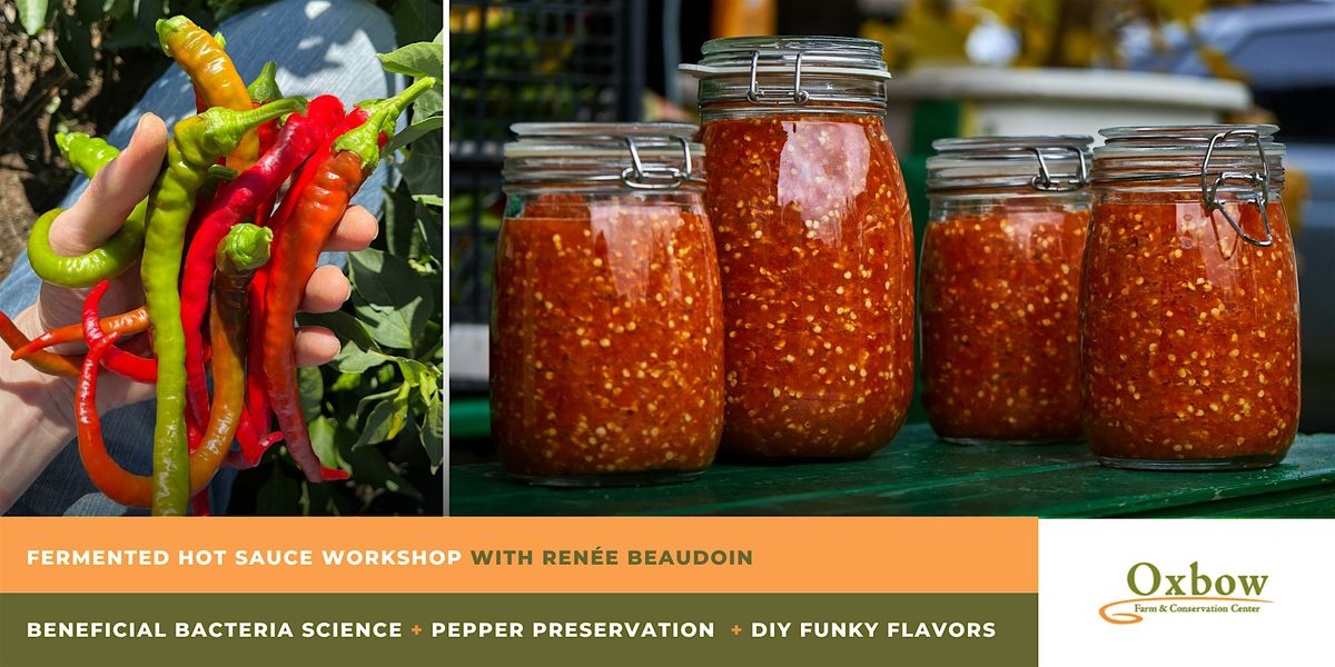 Fermentation Station: Fermented Hot Sauce Workshop